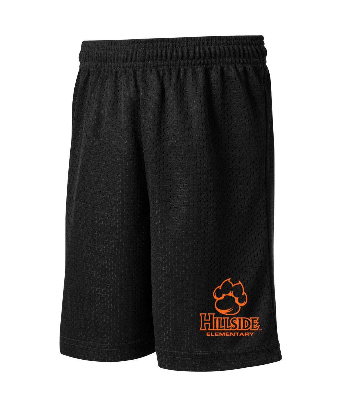 Hillside Pride Youth Mesh Shorts