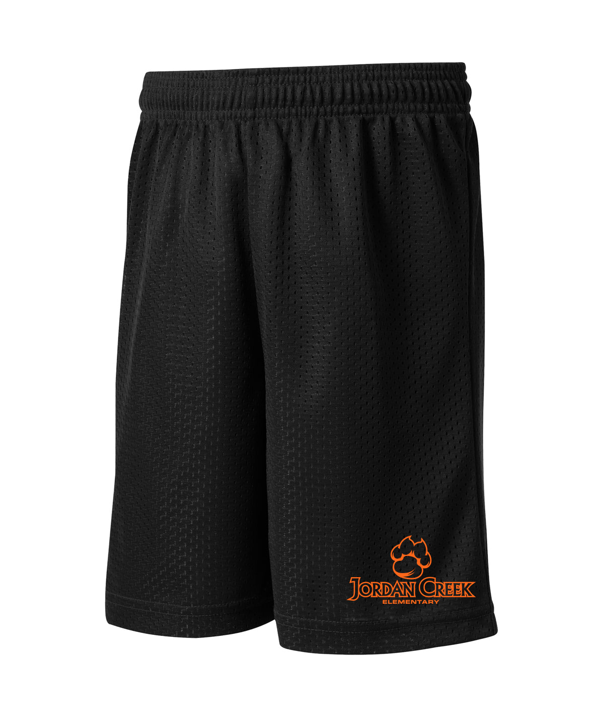 Jordan Creek Pride Youth Mesh Shorts