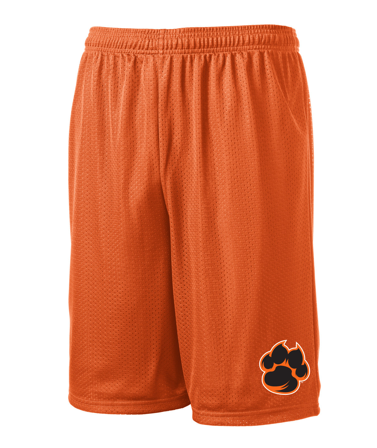 Jordan Creek Pride Mens Mesh Shorts